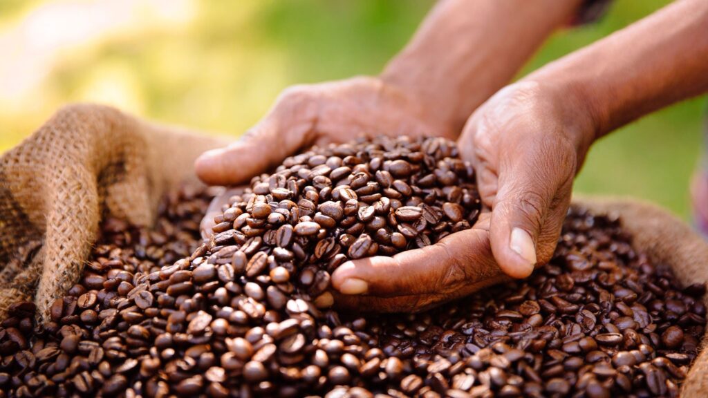 Sample Uganda Coffee